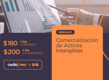 Activos Intangibles