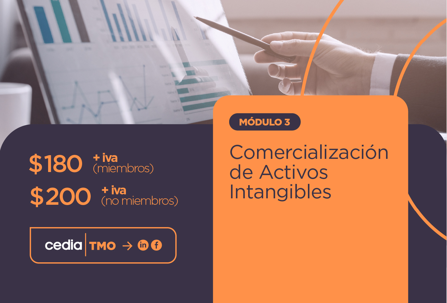 Activos Intangibles