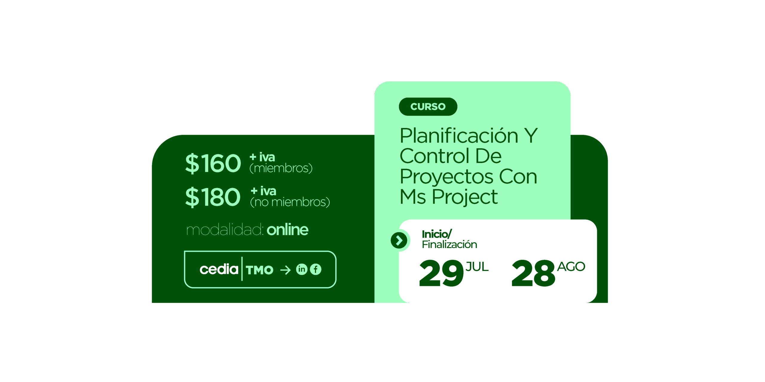 ms_project